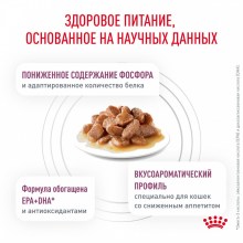 renal with chicken_4